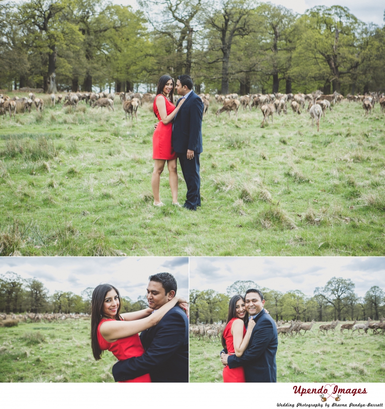 richmond-park-engagement shoot